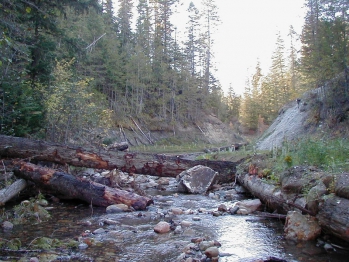 Cedar Creek Dam Removal Completed