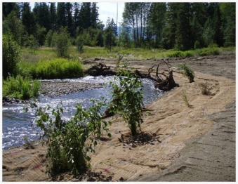 Cee Cee Ah Creek Bank Stabilization Project