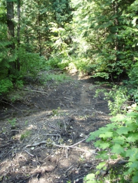 Dry Channel Lost Creek