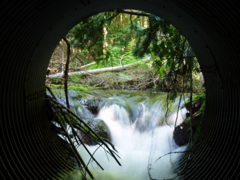 Inlet Drop in a Fish Passage Barrier Culvert Upper West Branch Priest River Watershed