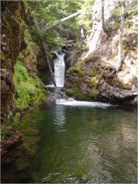 Natural Fish Passage Barrier