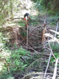 Old Logging Road Crossing Over Stream Channel Upper West Branch Priest River Waterhed