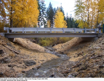 Restored Fish Passage Buck Creek