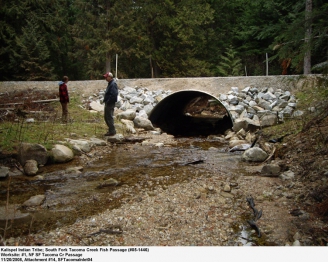 Restored Fish Passage South Fork Tacoma Creek