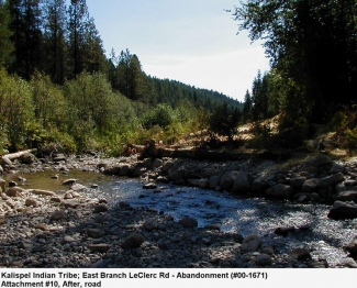 Road and Crossing Removed East Branch LeClerc Creek