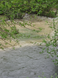 Sediment From Road Failure