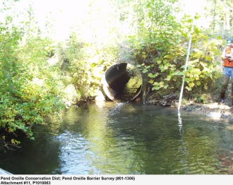 Undersized and Perched Fish Passage Barrier